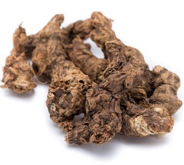 Atractylodes (Bai Zhu, Cang Zhu)